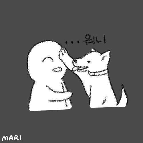 ➳⡱ 워 니           🥕