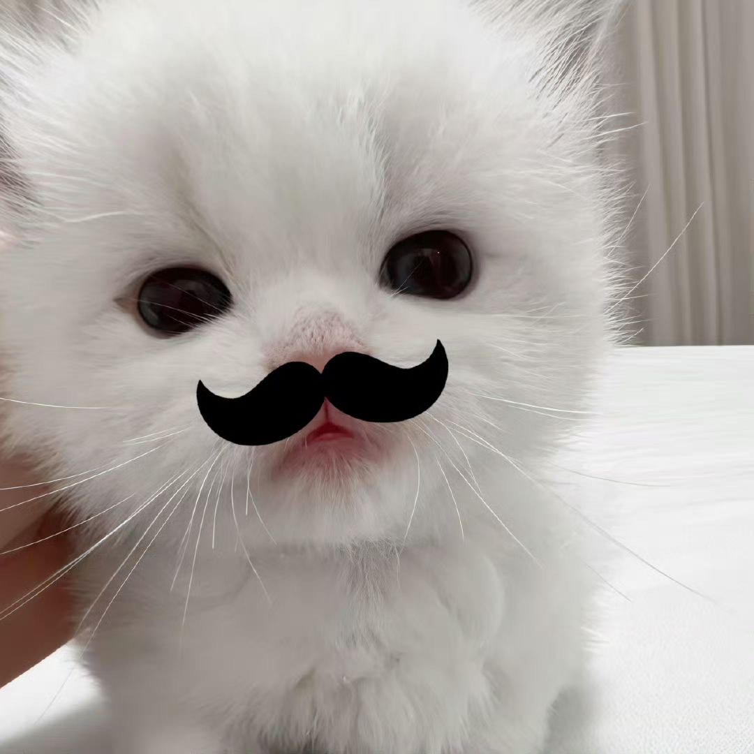 아가지노딸랑구       💸