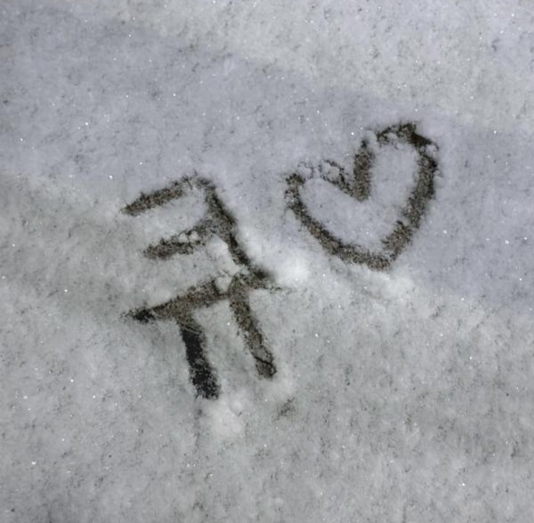 자몽전용 🝦 윗큐