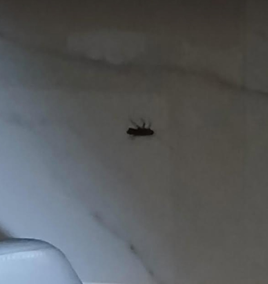 방송초보 뭐하지