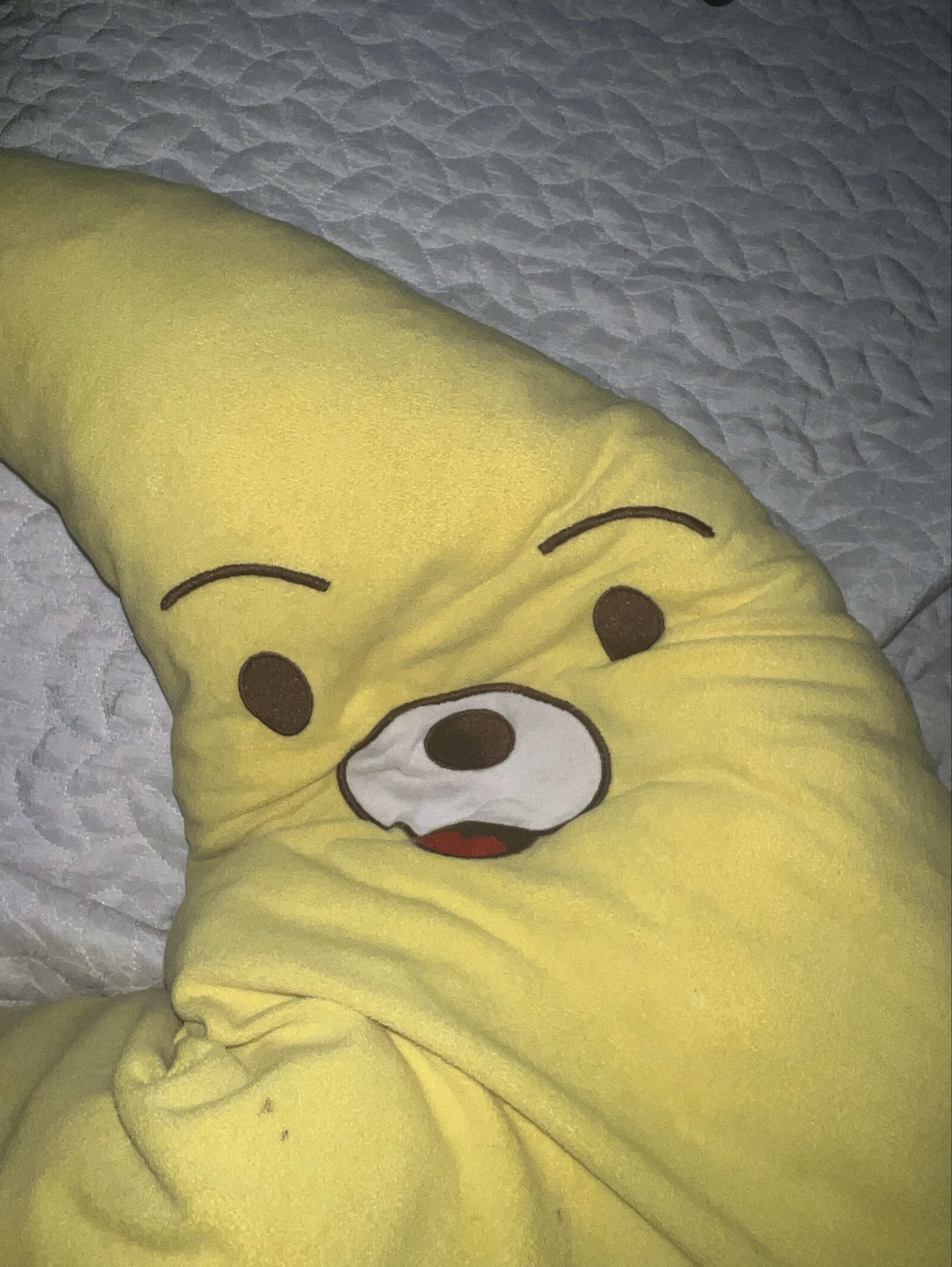 。゚ᕹ 빵조아 𓂃 .•