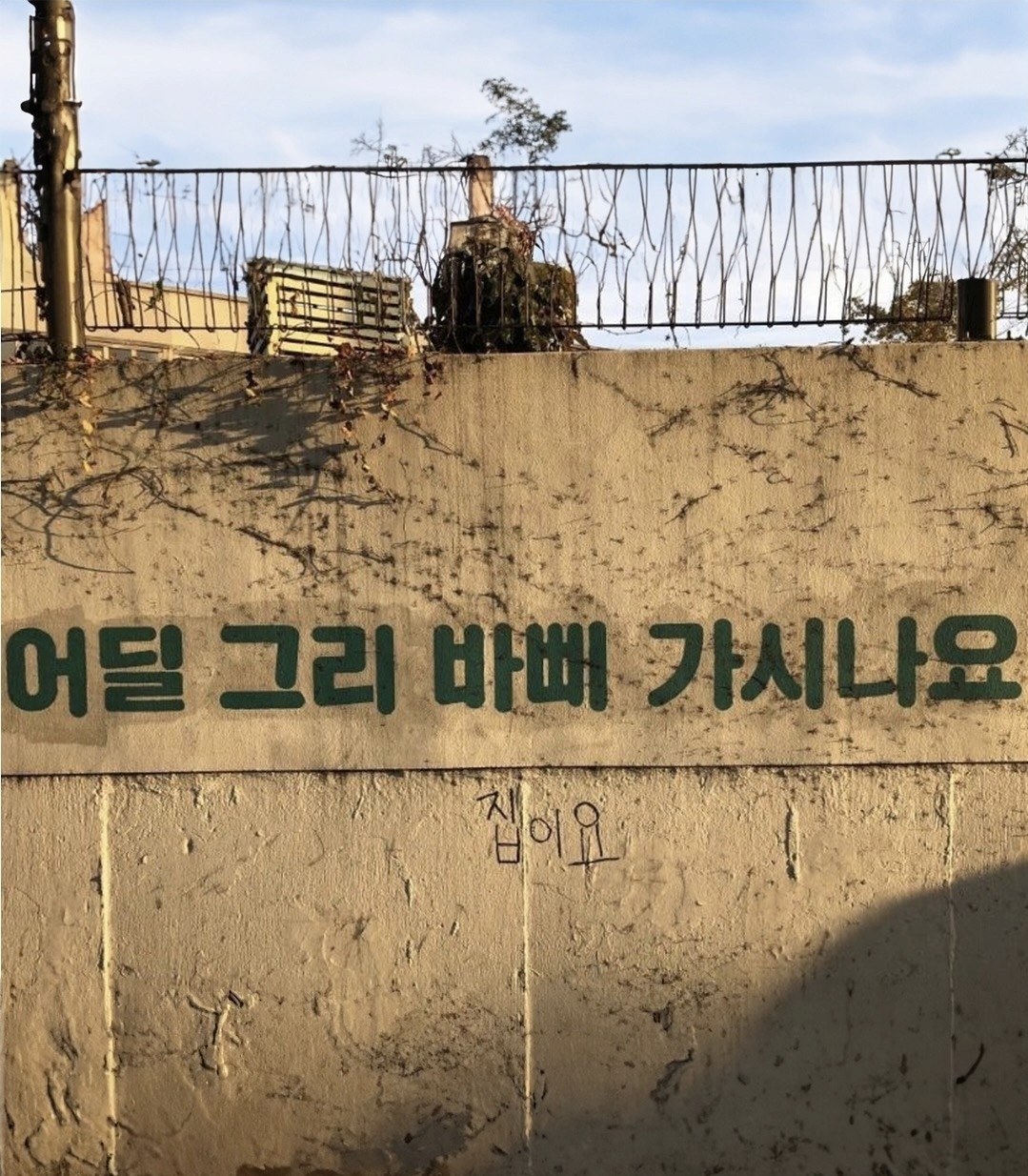 담다디담 ℯ𝒹𝒶