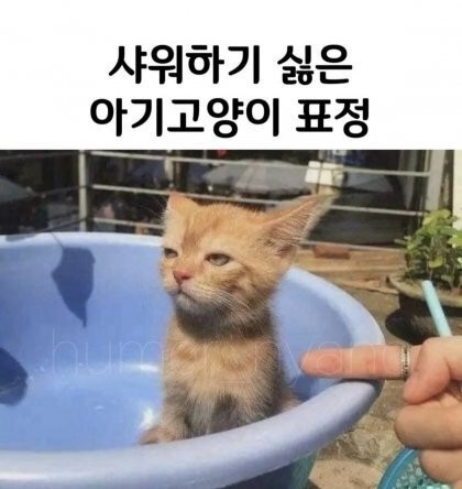 하루히 𝒽.𝓇𝓊໒꒱