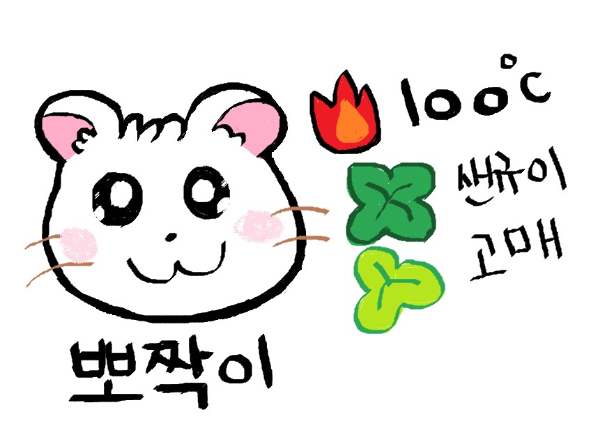 박 뽀 쨕 ε🍊з