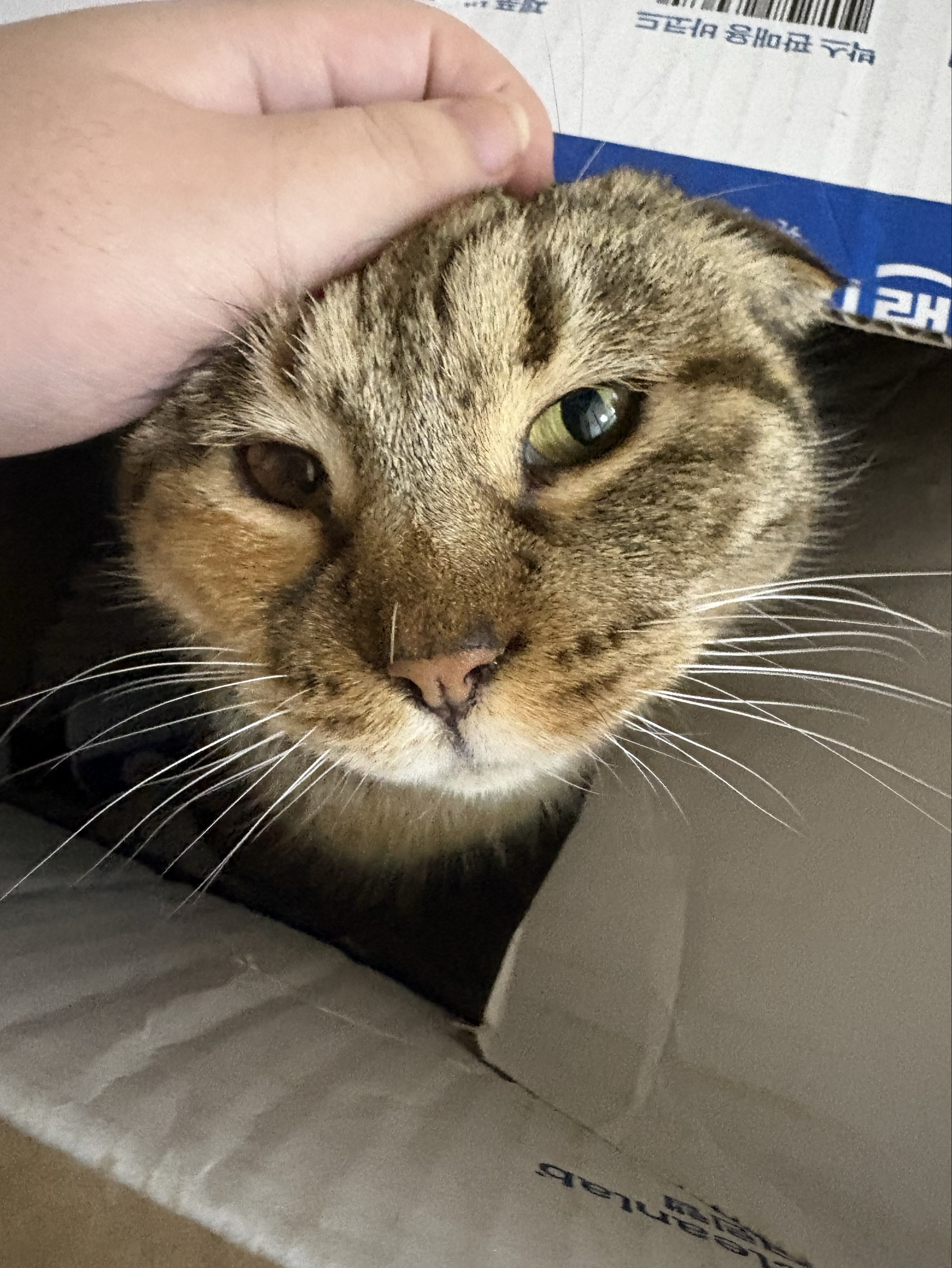 리즈☾.·˚🍼 🏷️