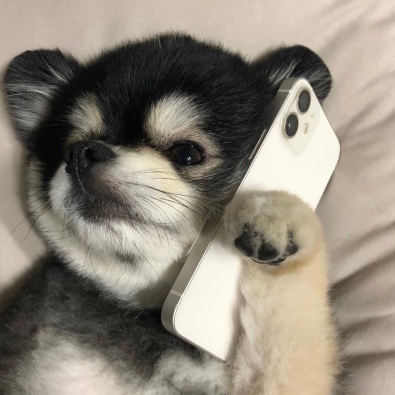 라이징 ﾒ 해수