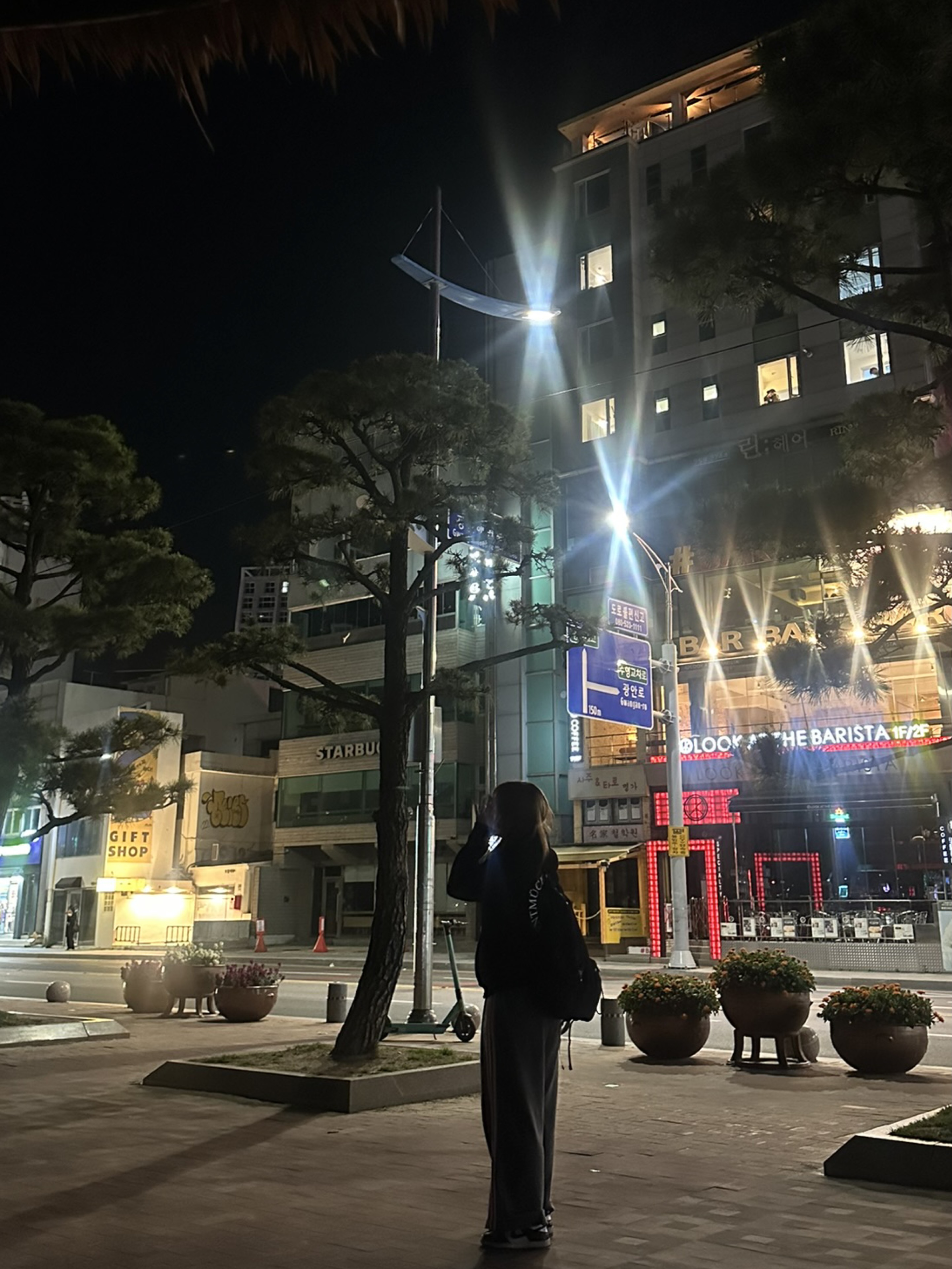 이 루  ૮꒰•༝  •。꒱ა