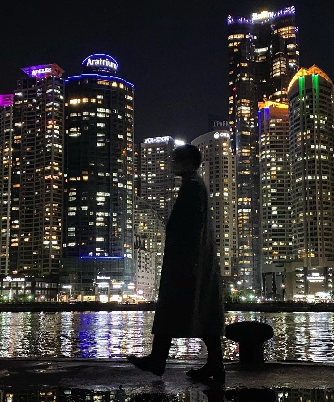 라이징 ﾒ 몰 드 