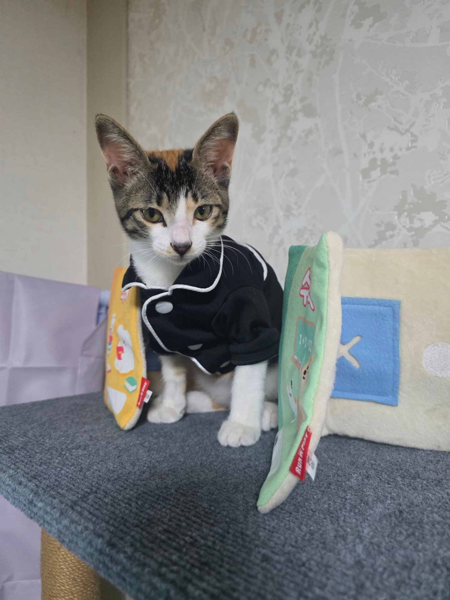 𝓇𝓅˖숲속의 토끼🌳ᷤ ᷳ ᷳ ᷮ