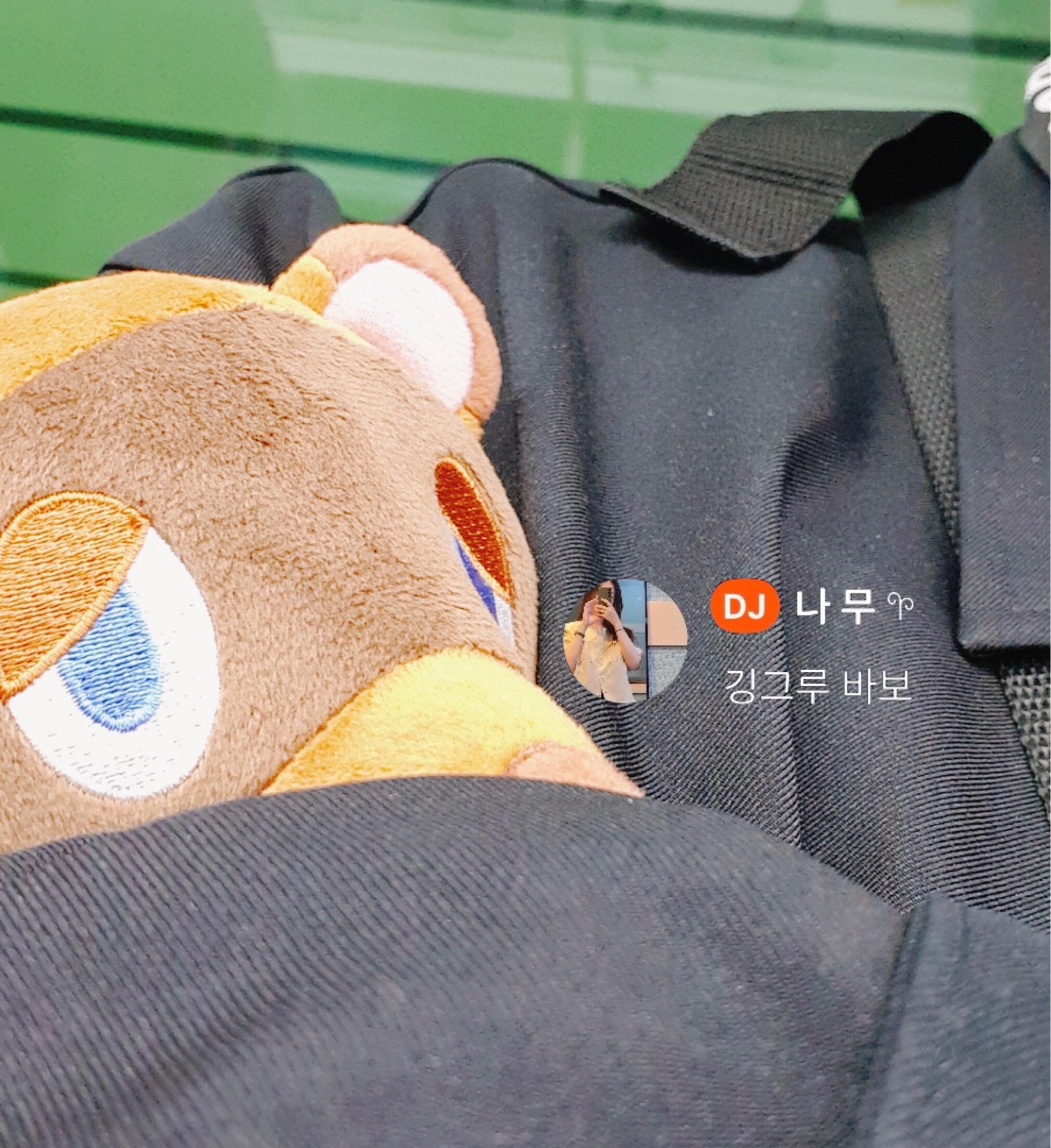 나무 푸데푸데 애교들어서좋은 그루 𖧧