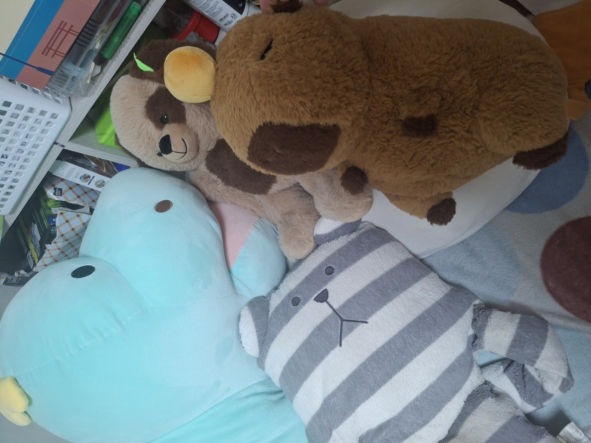 ꘪ *·˚ 해비니네 서티라노까꿍