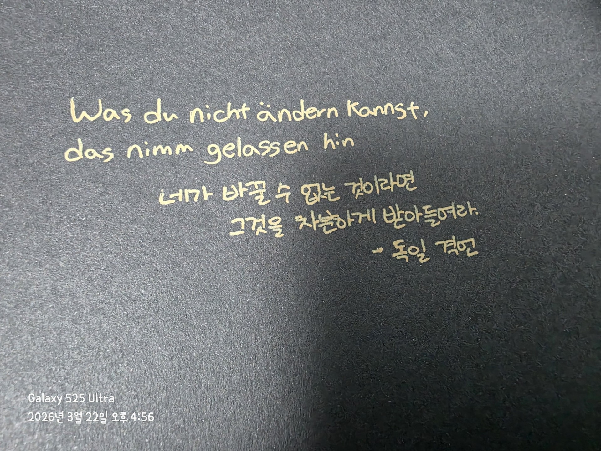 ♉️ 매일 음악듣는 유제니♥︎🎵🌙