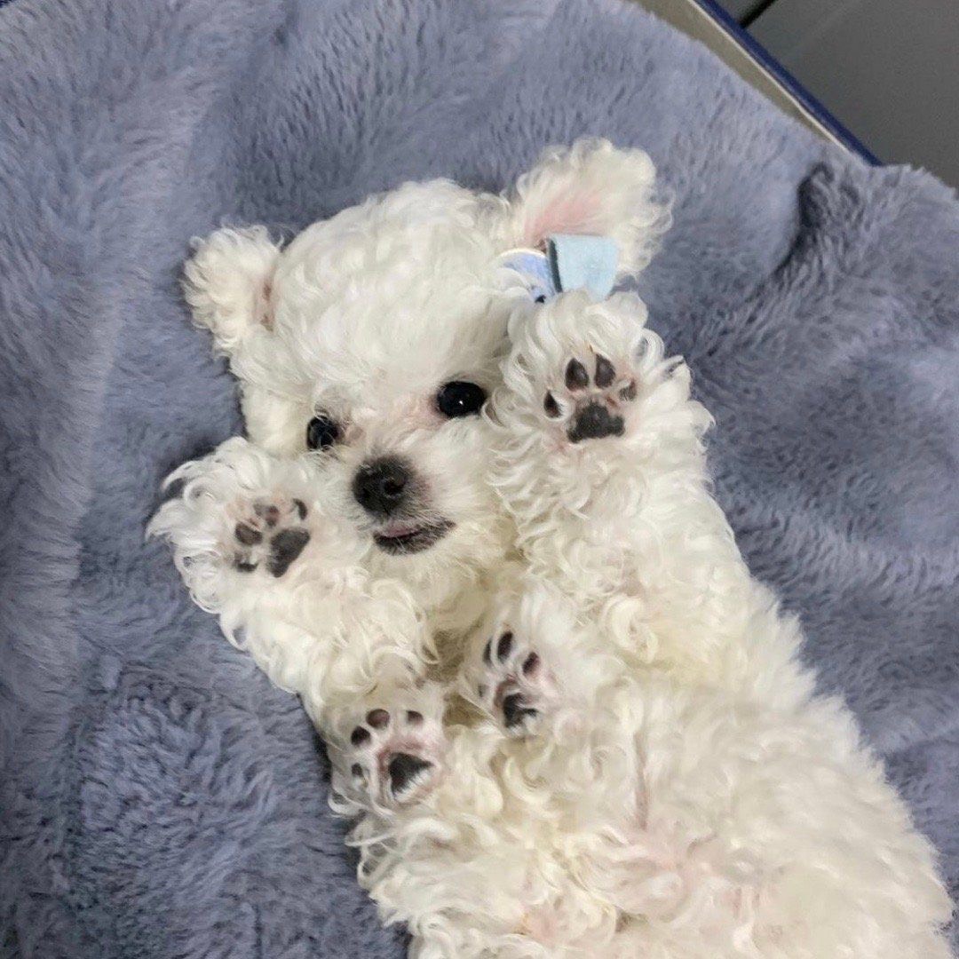 🄰°쪙쓱☺️'ᵜ'