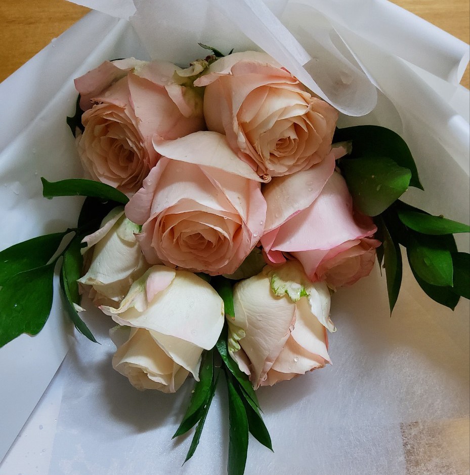 프랑스 할머니 +