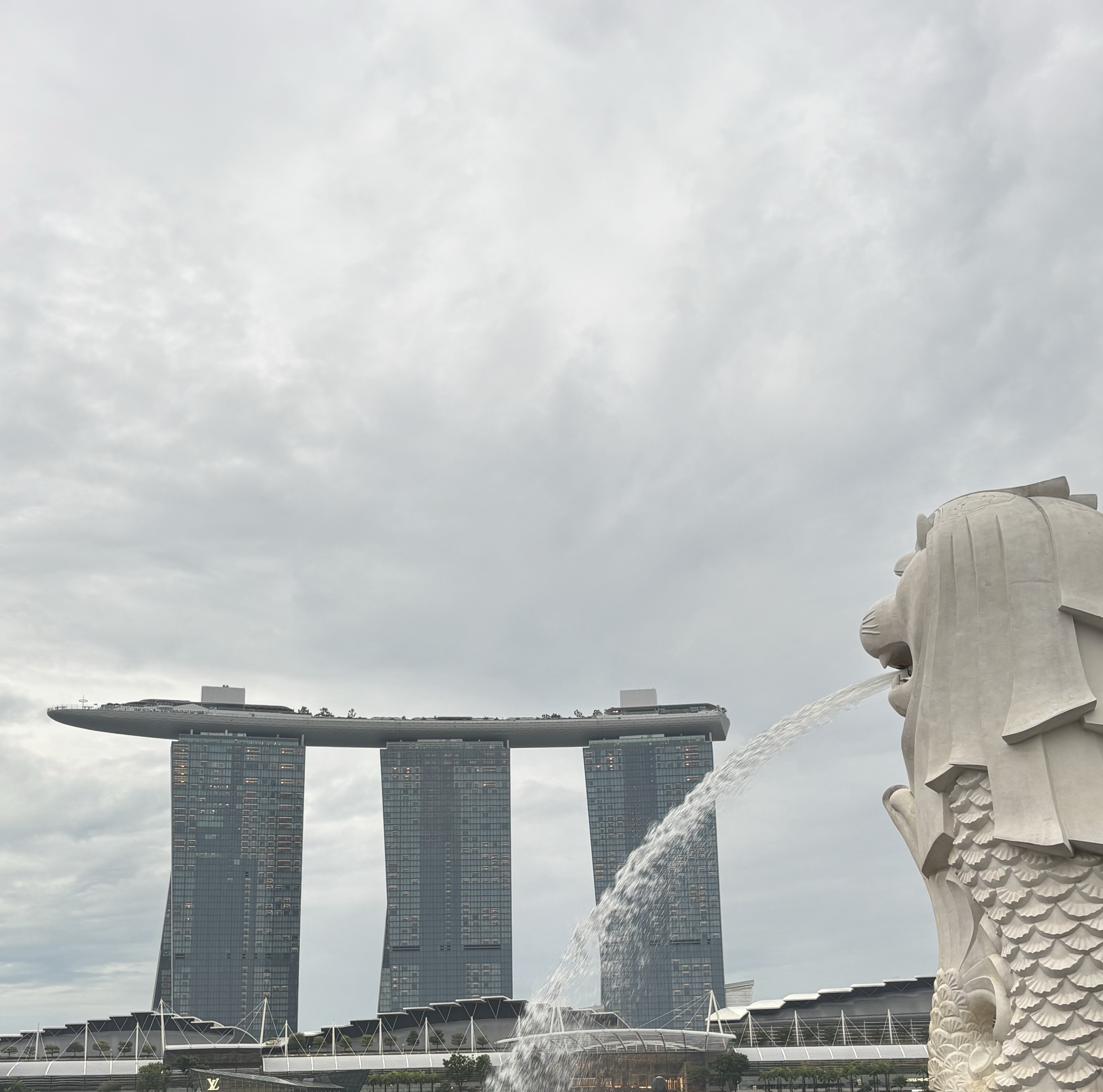 준-Not to yeild🌙