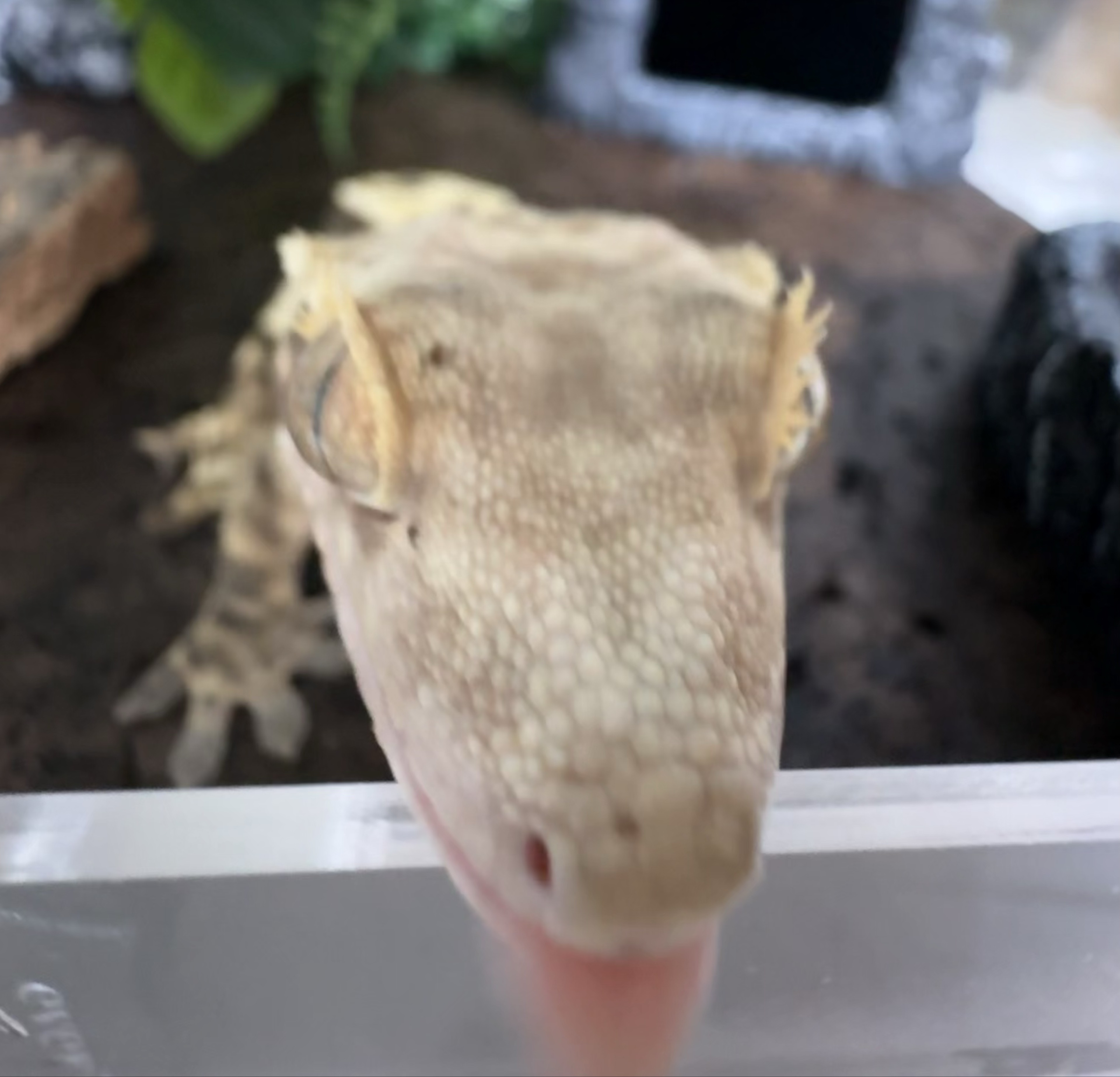 한국 항공 화물 항공기