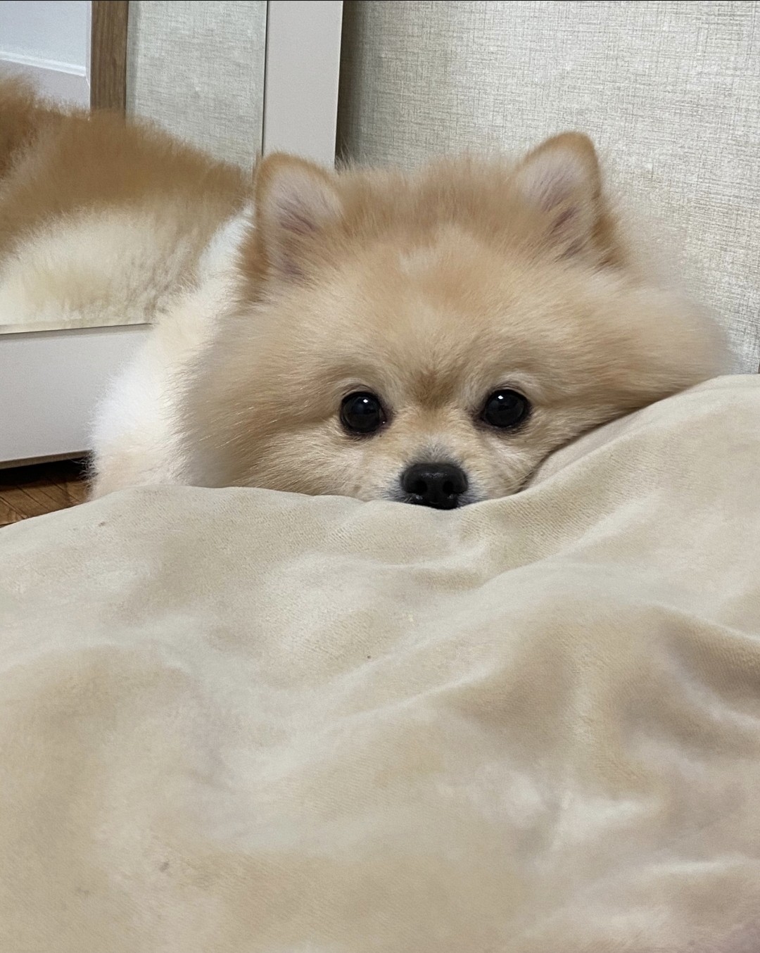 노을🍁
