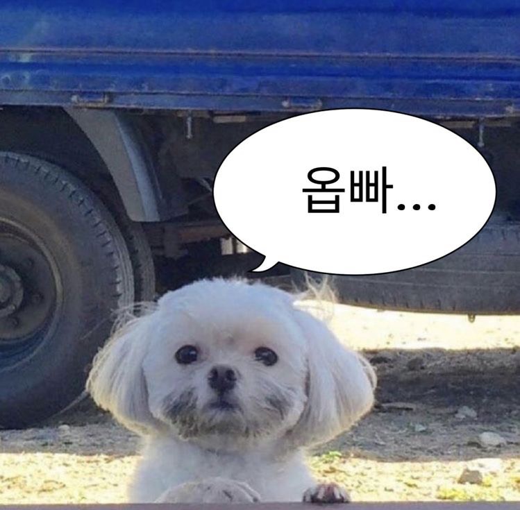 ⛄︎ 공 주 𐒖𐒒