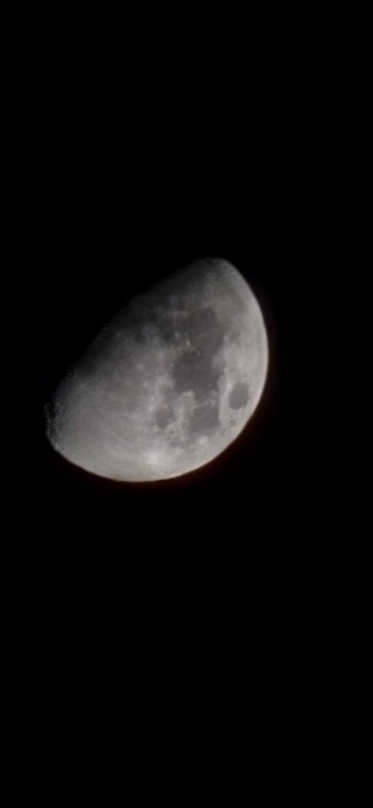 無月夜워랴곤듀🝯₊