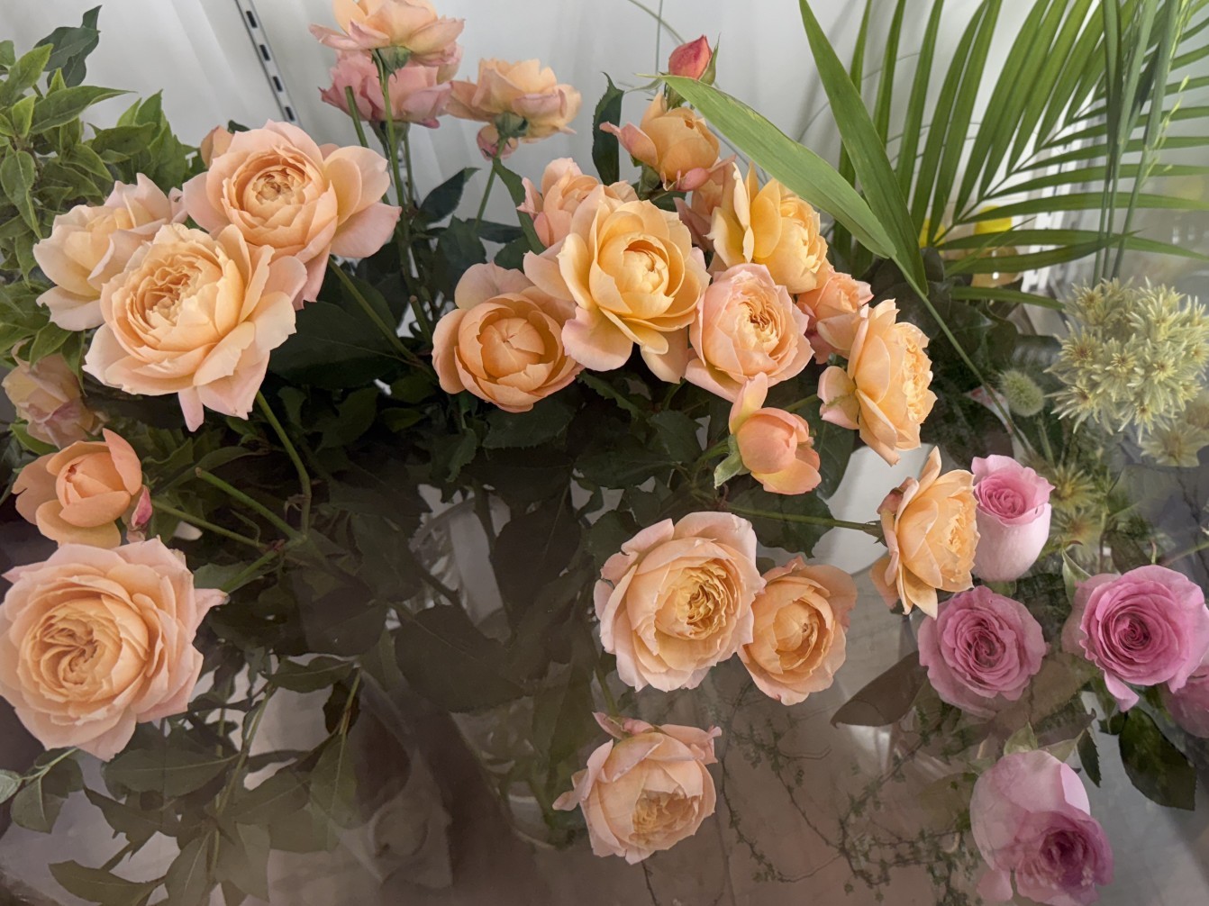 🌿ও𝒟𝒶 𝓑𝓮𝓪𝓷੭.