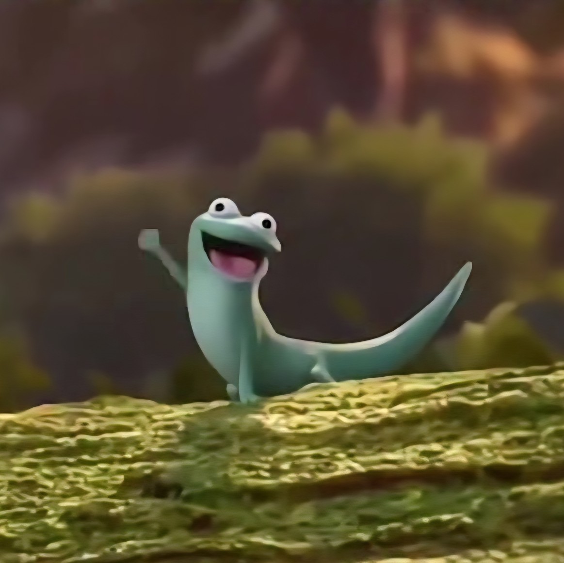 ⅅ℃ 땅콩이 №