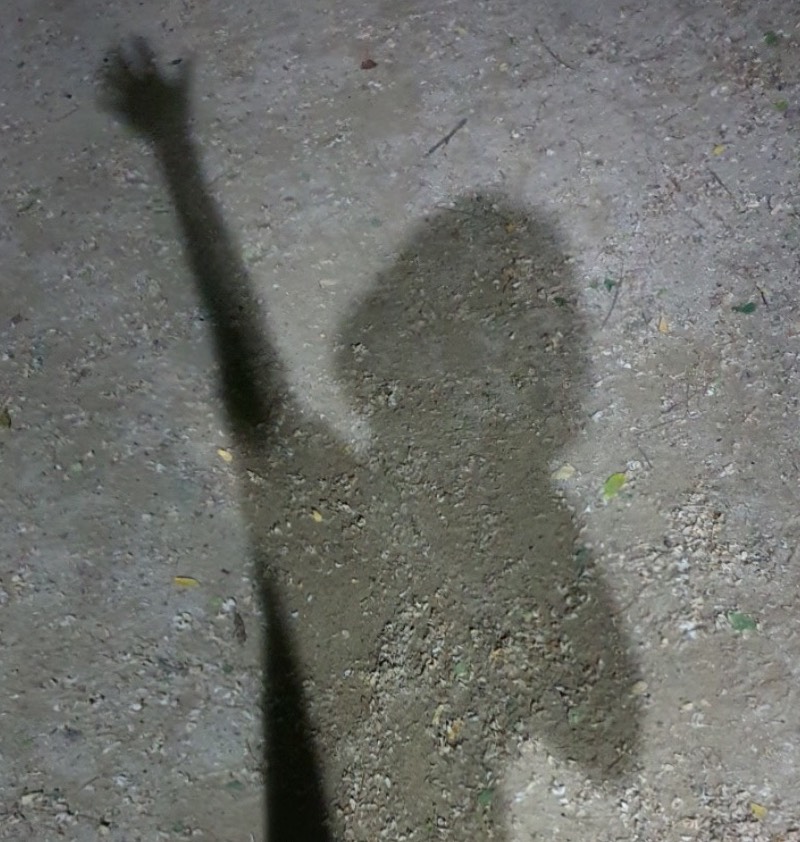 임짜룽ᵐᵃʳᵘ🧡