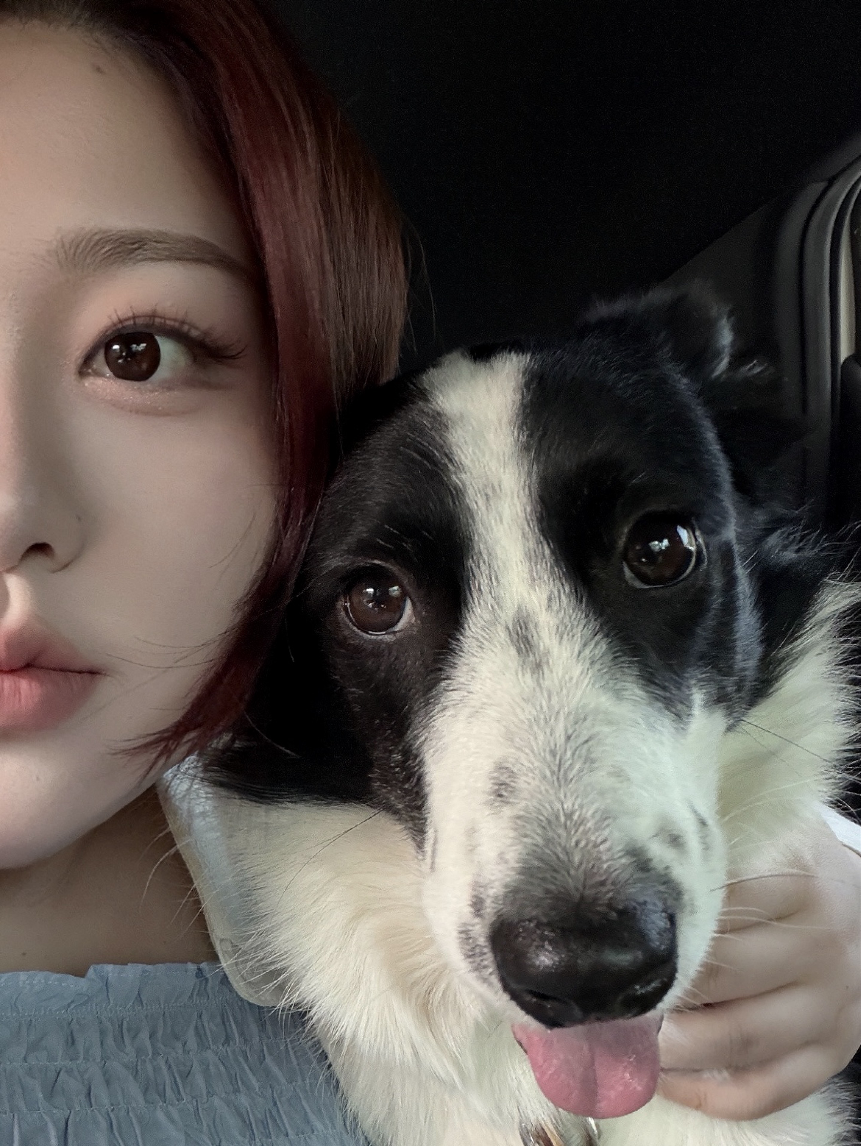 〃포 도 당〃 •̆₃•̑