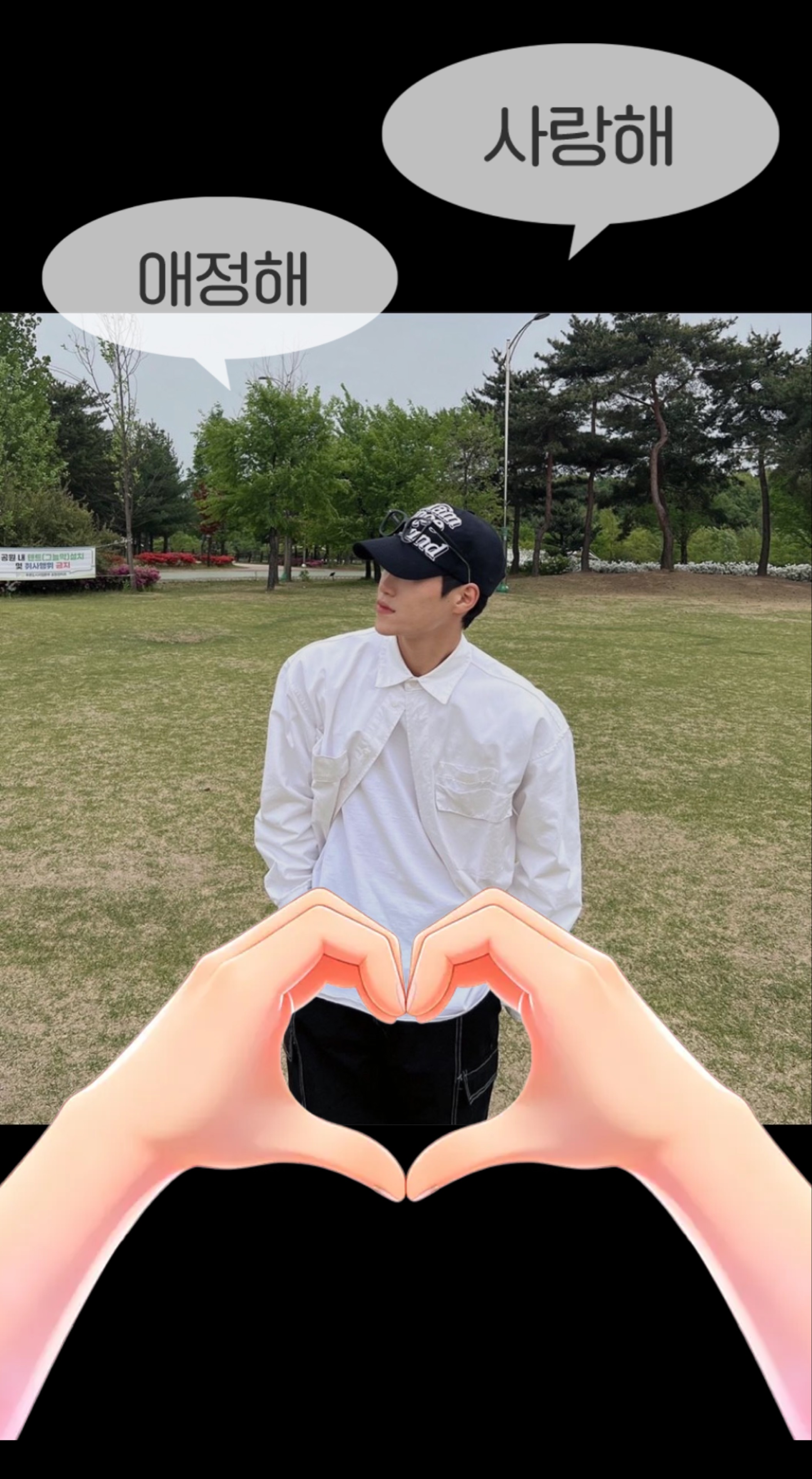 👶🏻 피 터 팬 🧚