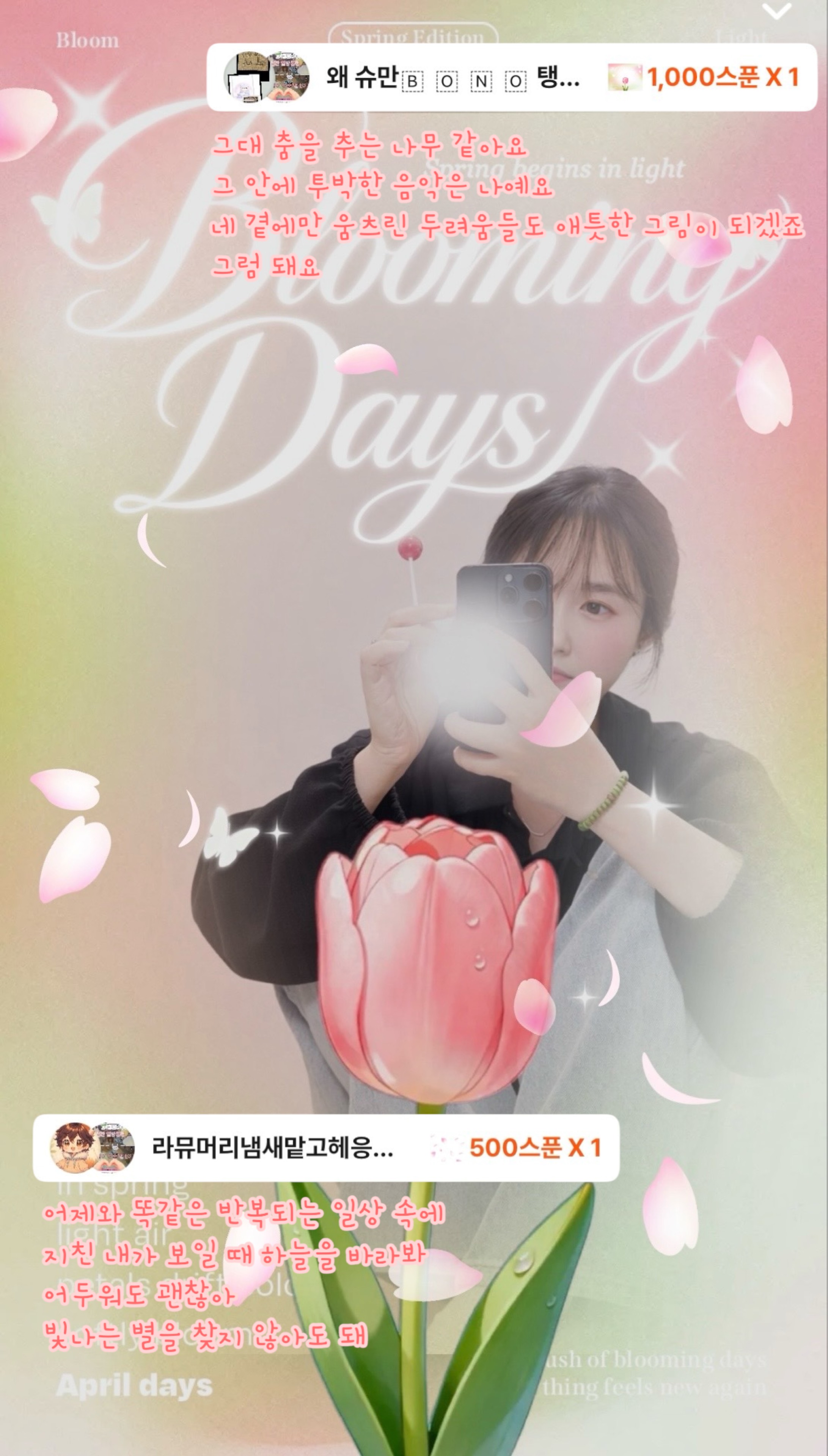 뱃살공주 이탱귤