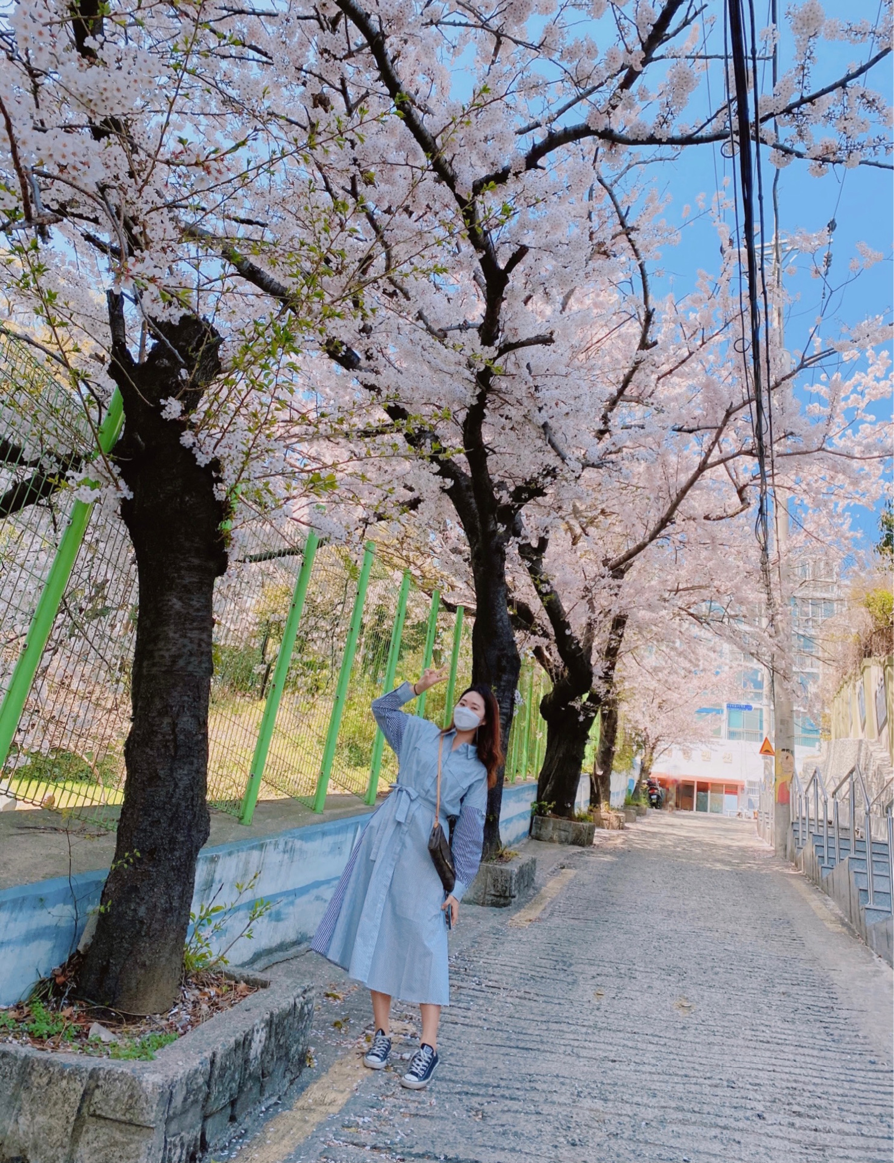 ⅅ℃ 어닝         .∗̥⁺హ