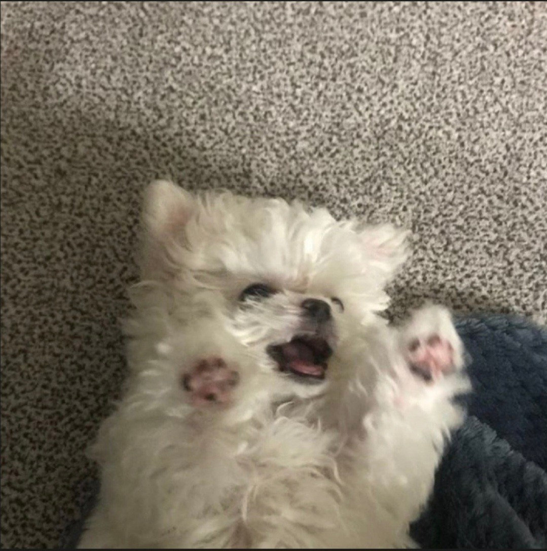 수야꺼 白意(백의)