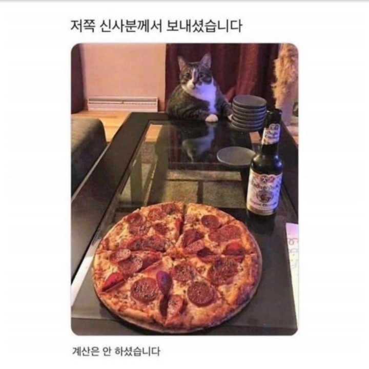 ㅤㅤㅤㅤㅤㅤ       ㅤ사ᩚ랑ᩚ해ᩚ