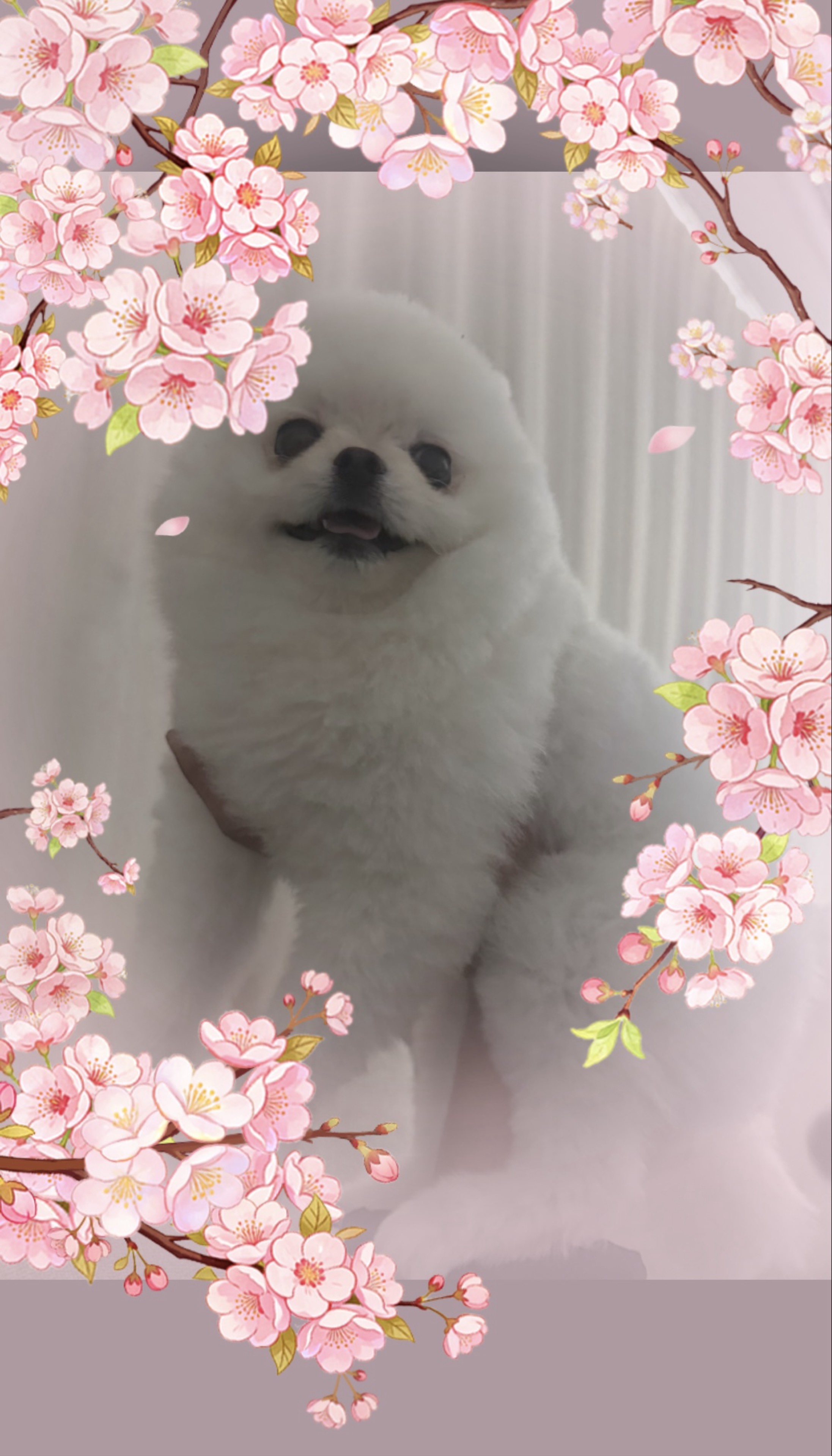 👶🏻 스 펀 지 이 디 🧽