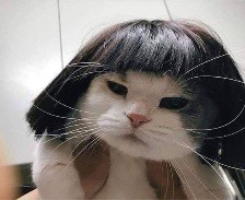 뽀순이  𖧧