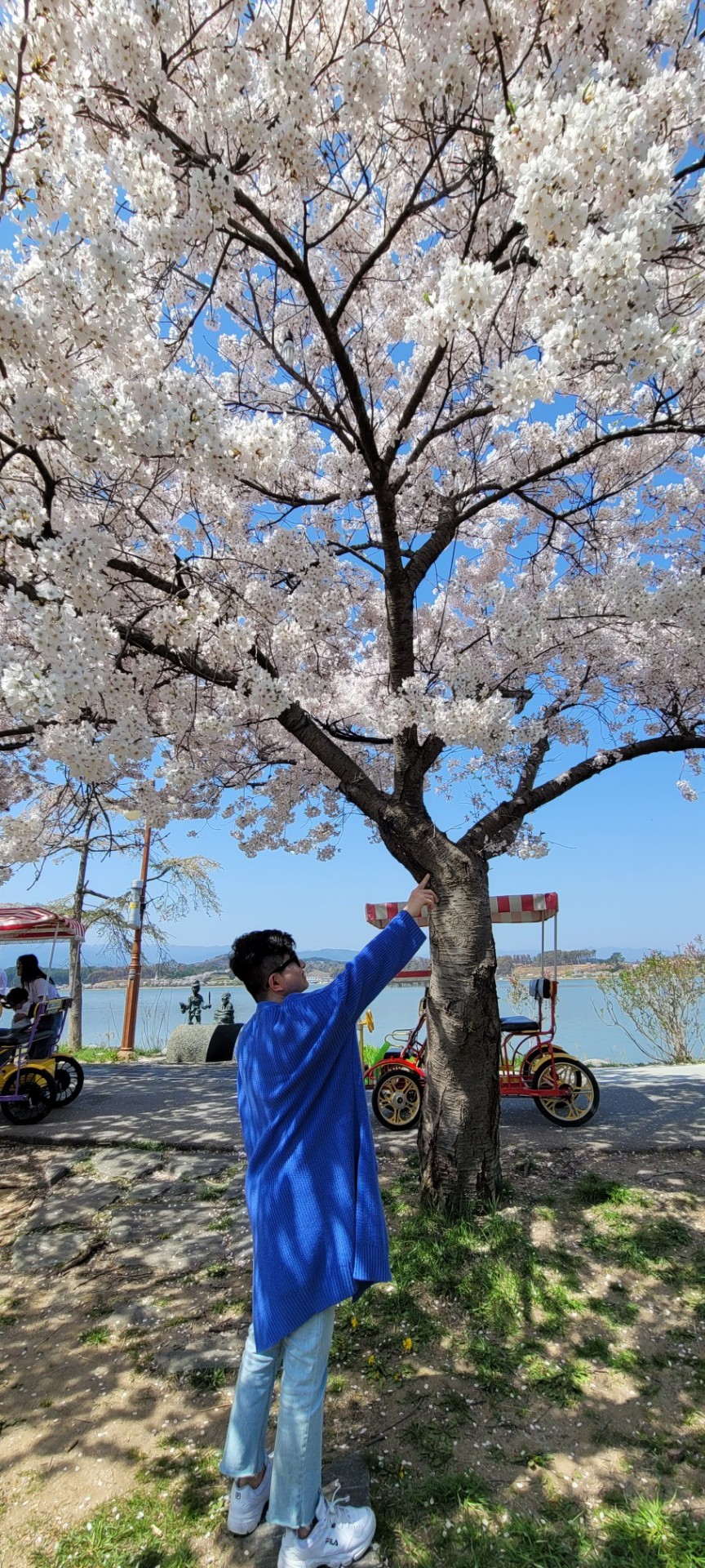 🌾 보라돌이 ☾⋆ 