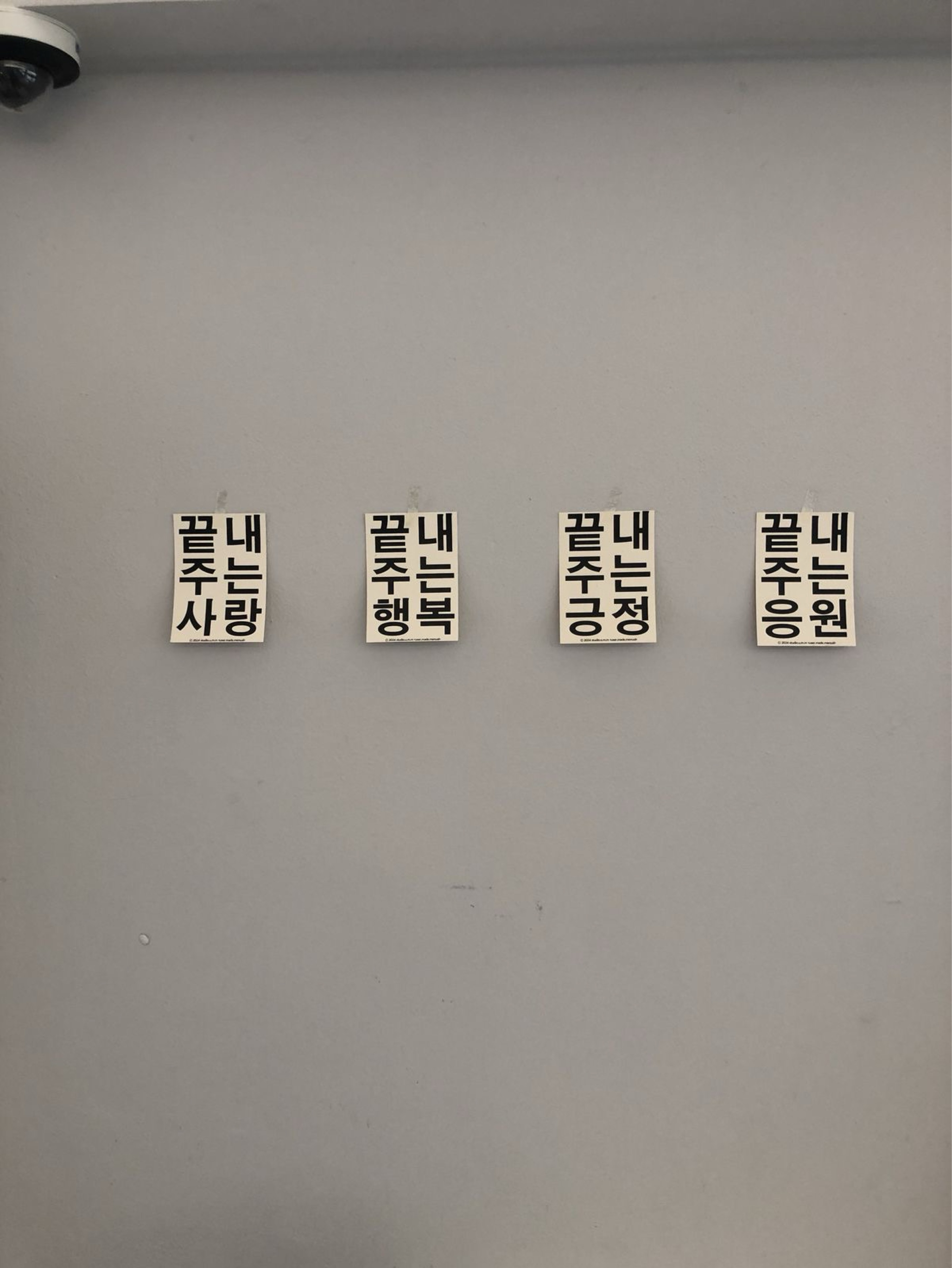 ⧽ 파 람 ˚⊹