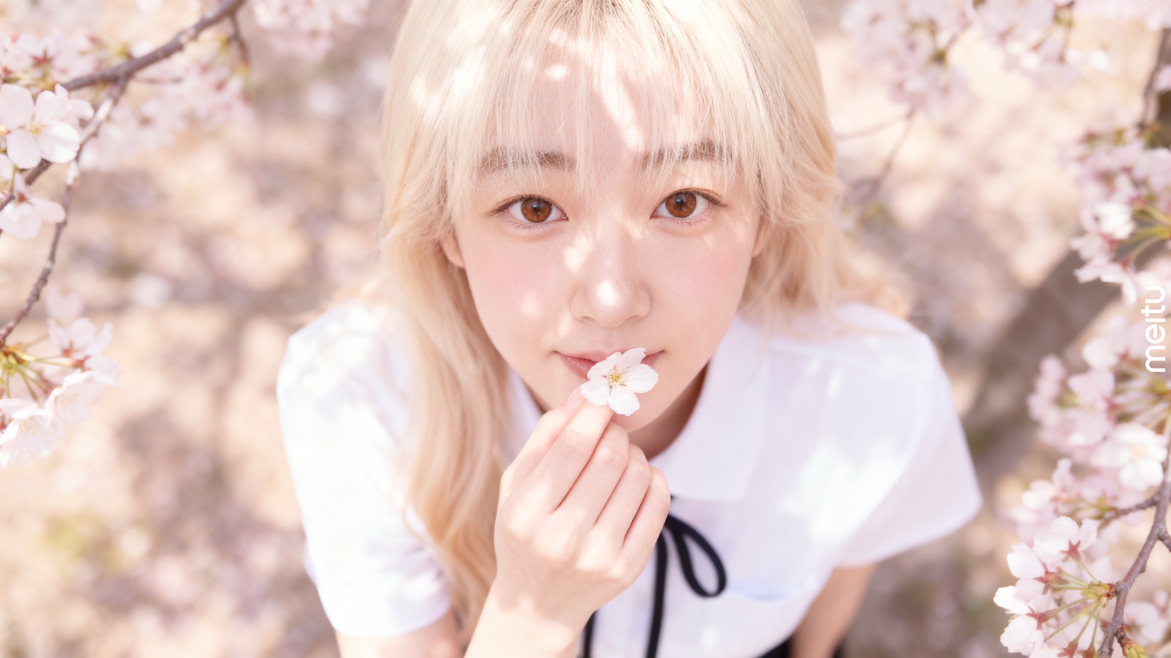 🔒 찬이네골댕이요정SOSO ⍟🔒