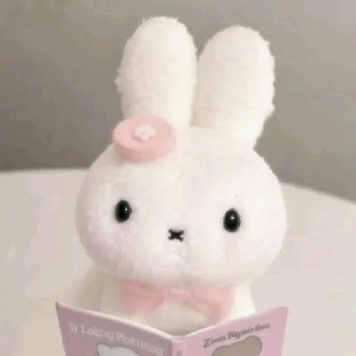 김연만의 연지  ʸଓ