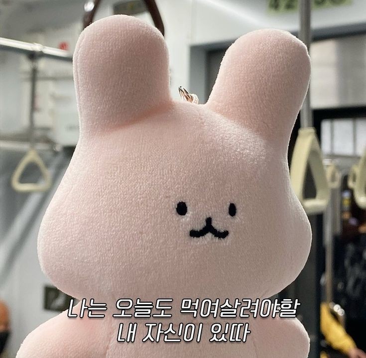 현딸기🐰🎧🌹😷