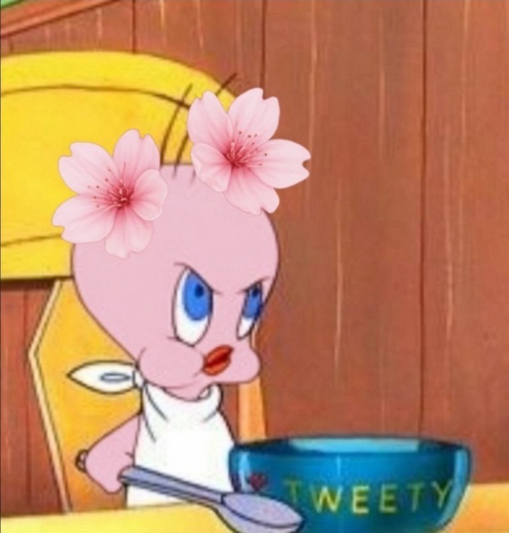 🏮 푸 린 🍶☃︎