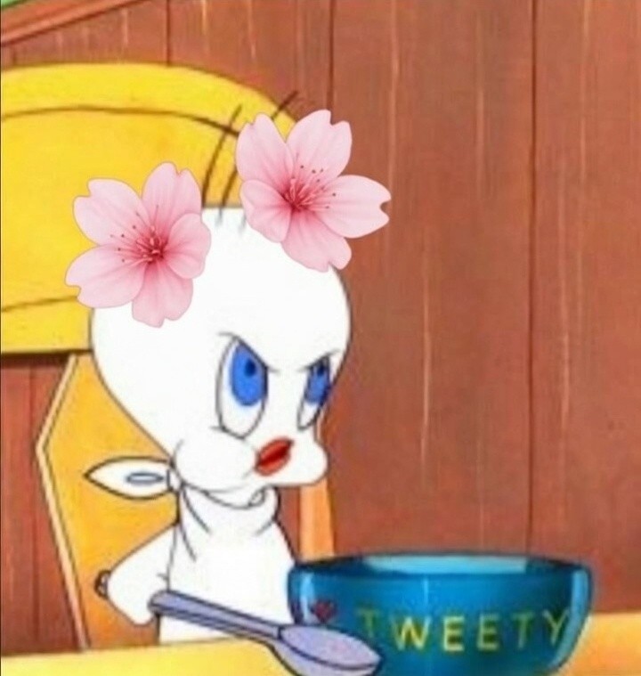 수야꺼 白意(백의)