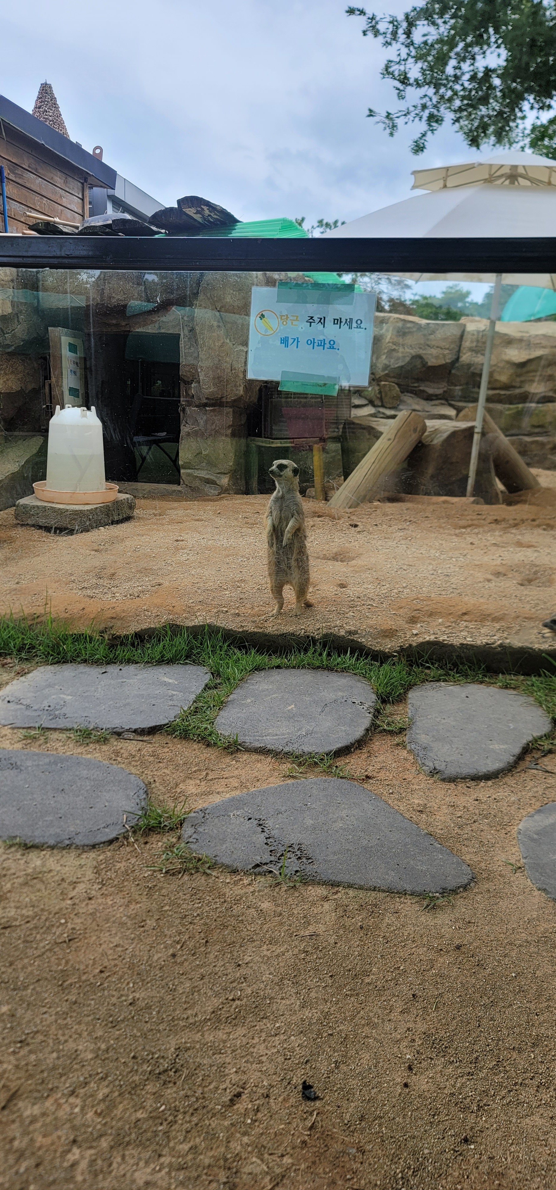 그리고