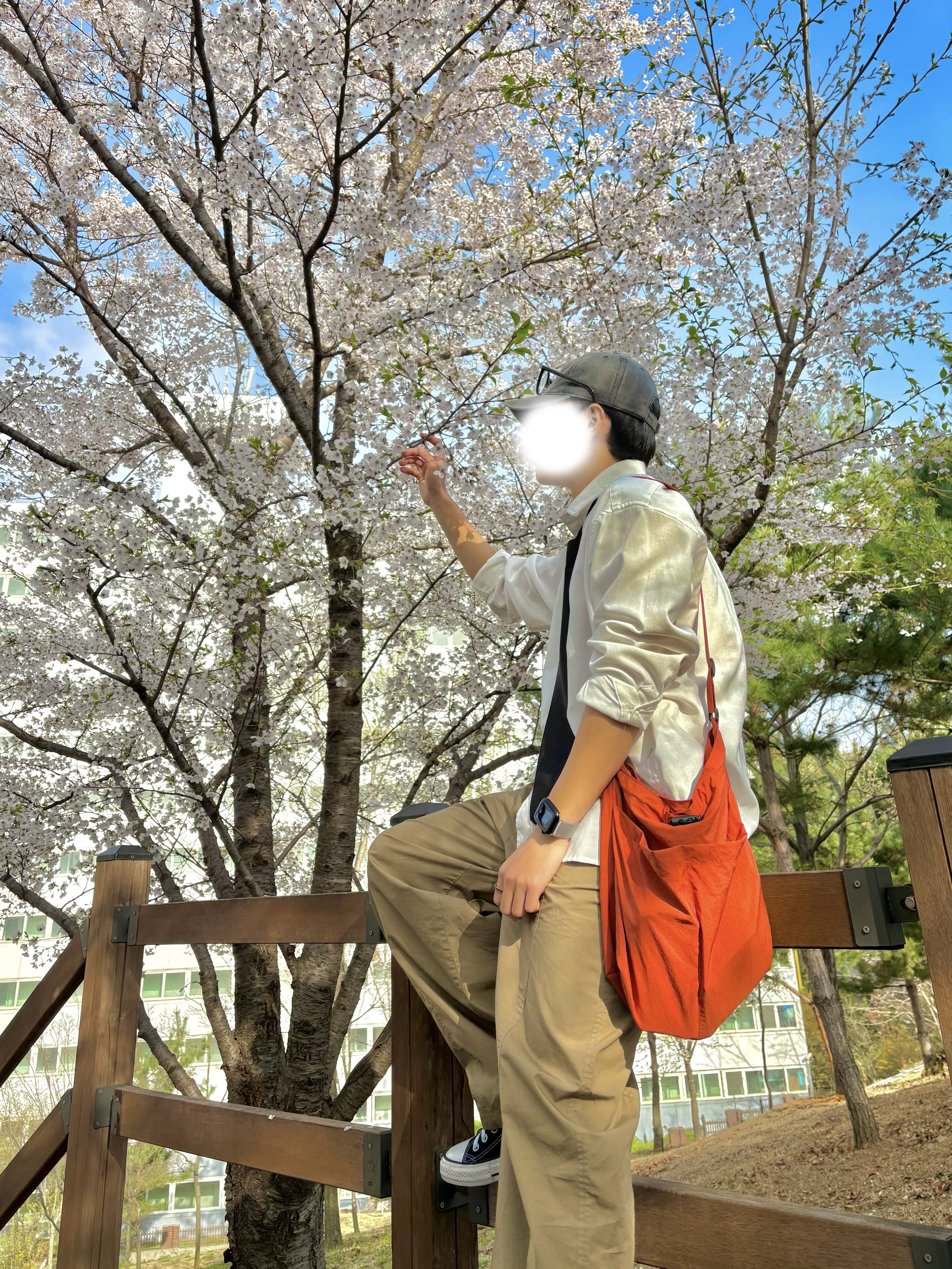 ᵁ 업 시 하 ᴴᴮ  ˢʰᵃ ᩚ ˎ˗