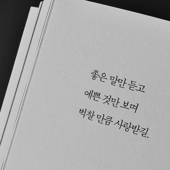 〃포 도 당〃 •̆₃•̑