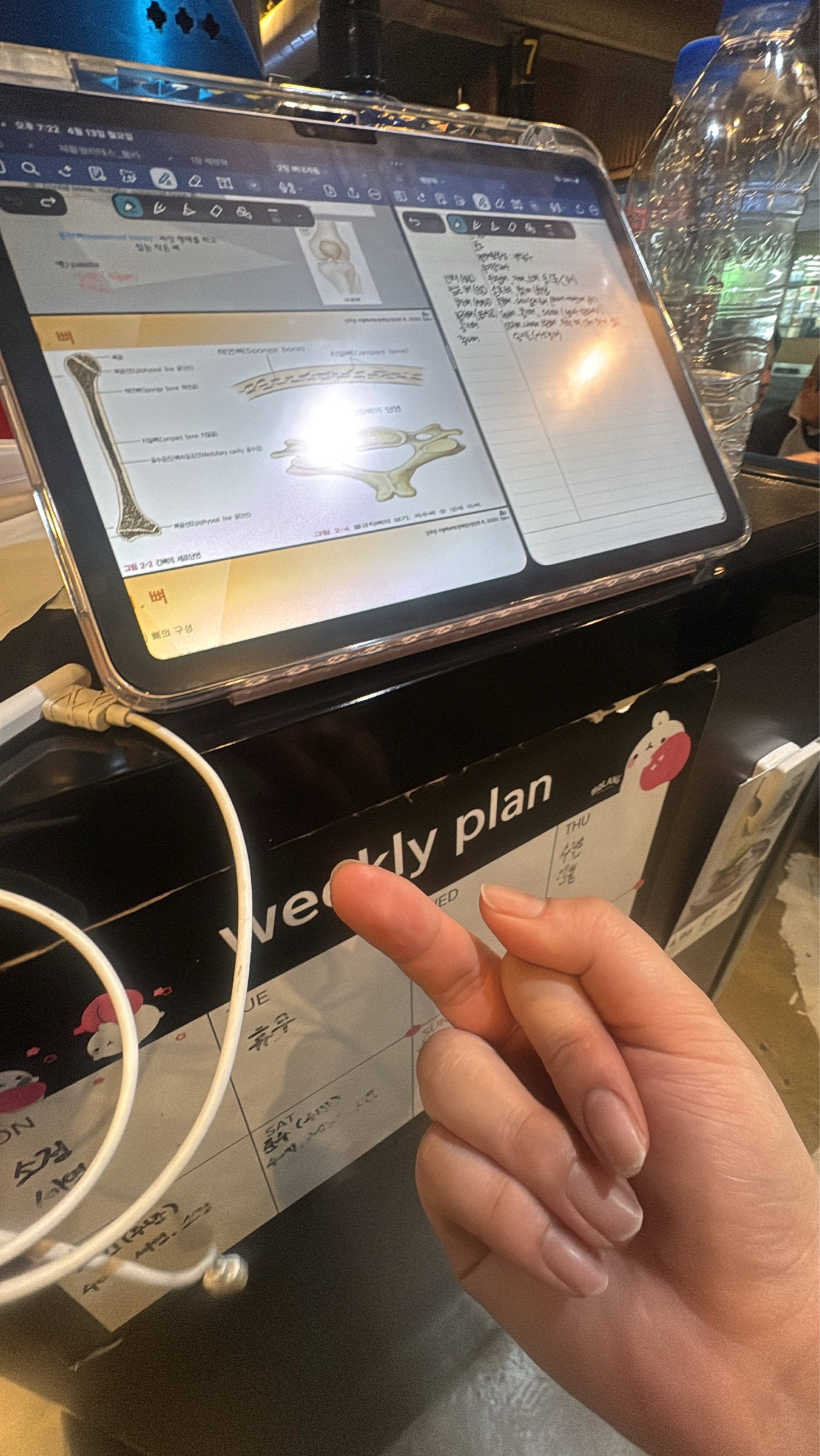 뚱남패티쉬
