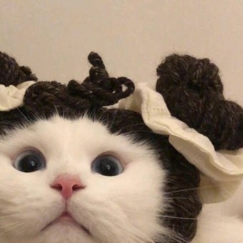 먼 지