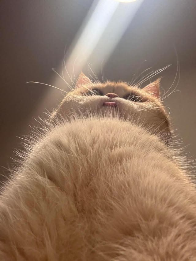 ༝