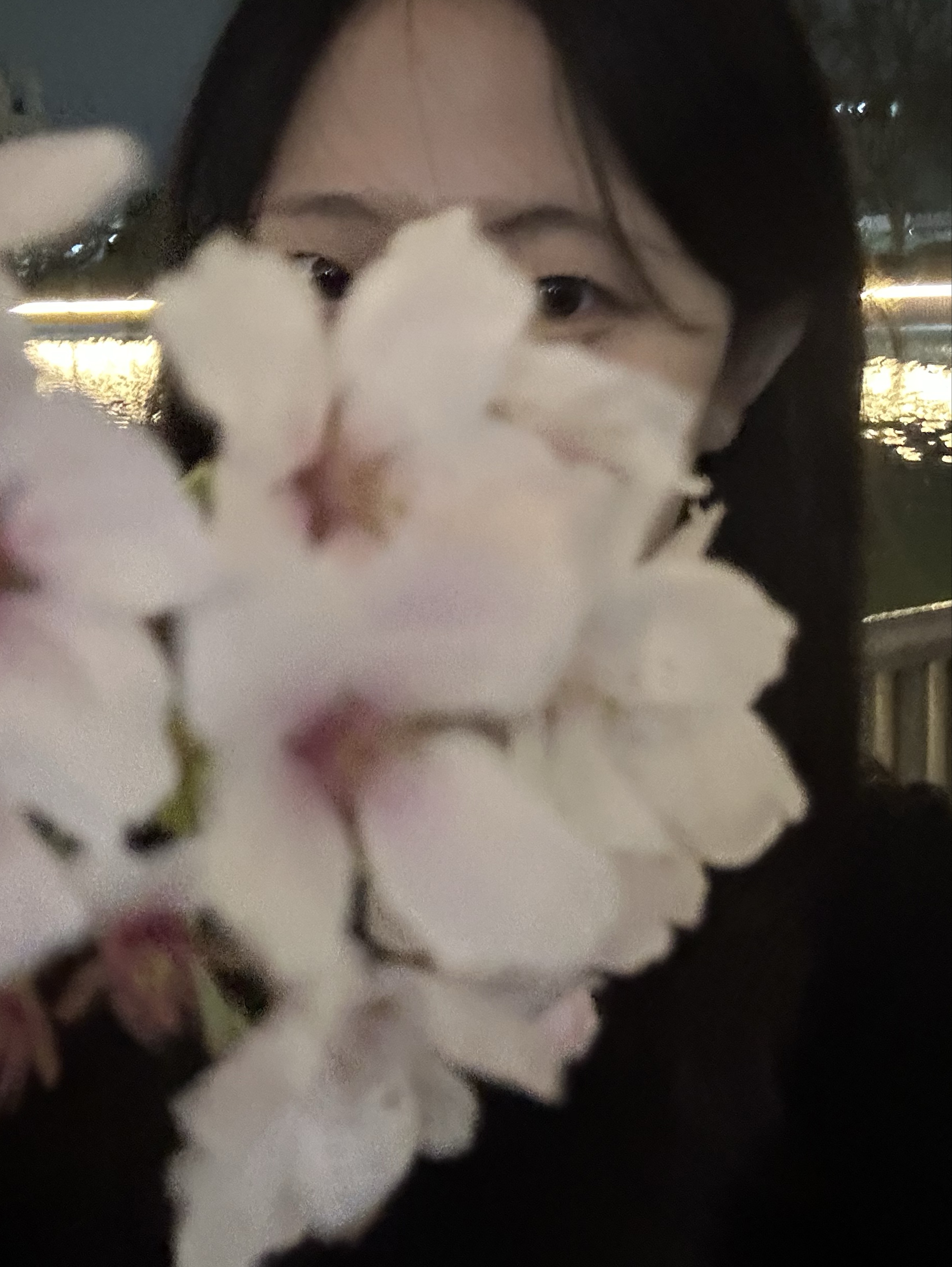 진아