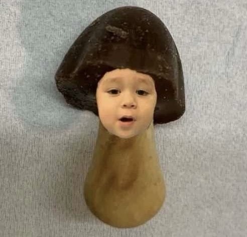 엄마가만들어주신개떡