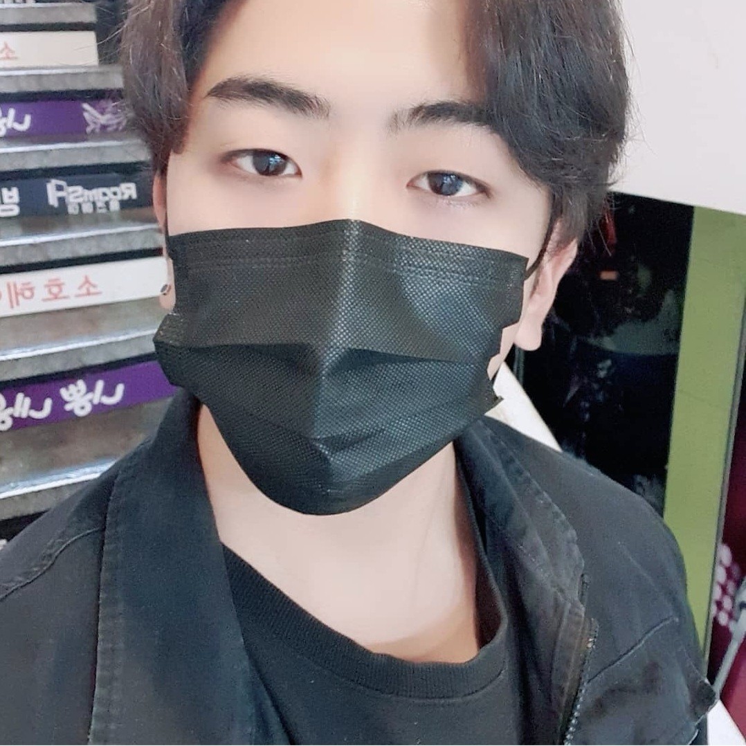 줄기